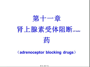 2022年醫(yī)學(xué)專題—第十一章藥理-閱讀頁