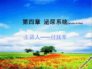 2022年醫(yī)學(xué)專題—第四章泌尿系統(tǒng)(文件)