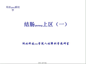 2022年醫(yī)學(xué)專題—結(jié)腸上區(qū)(一)局解-在線瀏覽