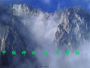 2022年醫(yī)學(xué)專題—腦神經(jīng)系統(tǒng)-中樞神經(jīng)可塑性-免費(fèi)閱讀