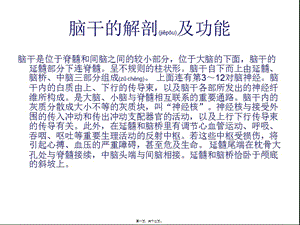 2022年醫(yī)學(xué)專題—腦干出血-wenkub