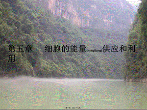 2022年醫(yī)學(xué)專題—第五章細(xì)胞的能量供應(yīng)和利用復(fù)習(xí)-wenkub.com