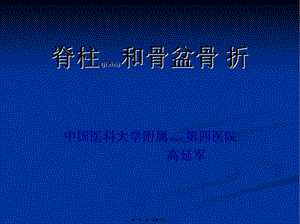 2022年醫(yī)學(xué)專題—脊柱和骨盆骨折骨折(已修改)