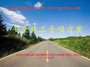 安全施工專項方案(專業(yè)版)
