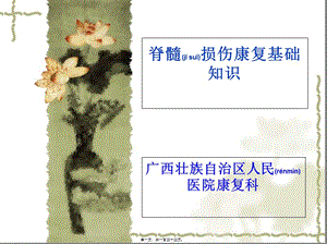 2022年醫(yī)學(xué)專(zhuān)題—脊髓損傷康復(fù)基礎(chǔ)(編輯修改稿)