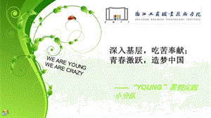 2013暑期實踐-ppt-2(完整版)