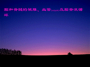2022年醫(yī)學(xué)專題—腦和脊髓被膜、血管、腦脊液循環(huán)-10影像、針推-文庫吧
