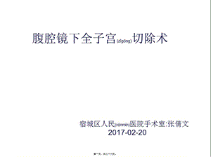 2022年醫(yī)學(xué)專(zhuān)題—腹腔鏡下全子宮切除術(shù)-免費(fèi)閱讀