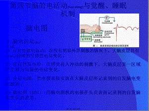 2022年醫(yī)學(xué)專題—第四節(jié)腦的電活動(dòng)與覺(jué)醒-全文預(yù)覽