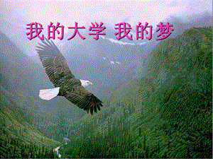 228班立志主題班會-文庫吧資料