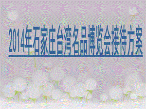 會(huì)展接待方案(文件)