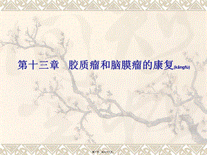 2022年醫(yī)學(xué)專題—膠質(zhì)瘤和腦膜瘤-wenkub.com