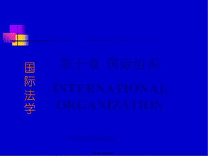 chapter-10-國際組織(1)(已改無錯字)