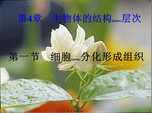 2022年醫(yī)學(xué)專題—第四章第1節(jié)細(xì)胞分化形成組織(完整版)