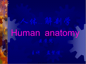 2022年醫(yī)學(xué)專(zhuān)題—腦、脊髓被膜、血管及腦脊液循環(huán)-文庫(kù)吧在線文庫(kù)
