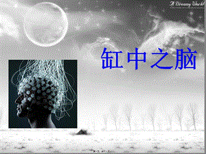 2022年醫(yī)學(xué)專題—缸中之腦(存儲版)