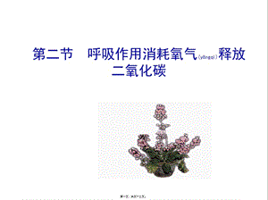 2022年醫(yī)學專題—第二節(jié)-呼吸作用消耗氧氣釋放二氧化碳-(1)-在線瀏覽