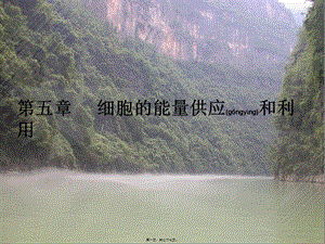 2022年醫(yī)學(xué)專題—第五章復(fù)習(xí)--細(xì)胞的能量供應(yīng)和利用-wenkub.com
