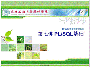 oracle第七講plsql剖析(留存版)
