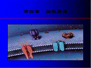 2022年醫(yī)學(xué)專題—第四章-細胞質(zhì)膜-閱讀頁