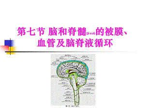 2022年醫(yī)學(xué)專題—腦和脊髓的被膜、血管及腦脊液循環(huán)【2】(文件)