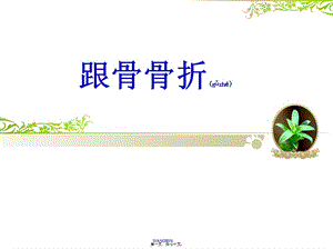 2022年醫(yī)學(xué)專題—跟骨骨折-閱讀頁