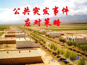 公共突發(fā)事件應(yīng)對(duì)策略(文件)