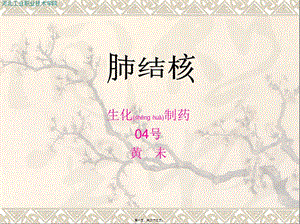 2022年醫(yī)學(xué)專題—肺結(jié)核ppt-(2)(文件)