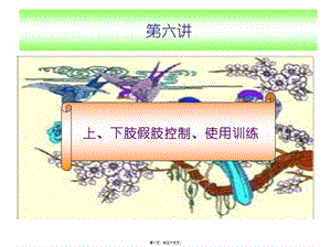 6第六講上下肢假肢控制使用訓(xùn)練剖析(已修改)