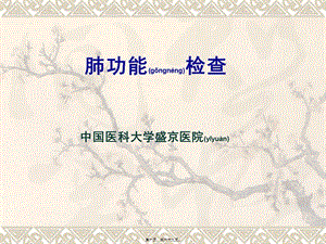 2022年醫(yī)學(xué)專題—肺功能2(存儲(chǔ)版)