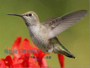 2022年醫(yī)學(xué)專題—腹腔鏡下脾切除術(shù)(留存版)