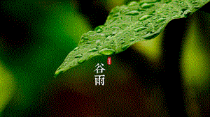24節(jié)氣之谷雨ppt模板(完整版)