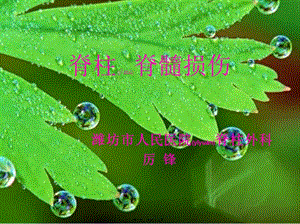 2022年醫(yī)學(xué)專題—脊柱脊髓損傷1(編輯修改稿)