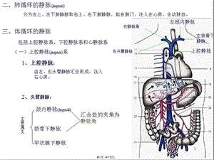 2022年醫(yī)學(xué)專題—第四節(jié)-靜脈-閱讀頁