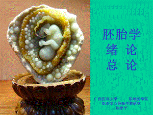 02-2011-12級-本碩班--胚胎學(xué)緒論總論-02(編輯修改稿)
