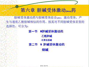 2022年醫(yī)學(xué)專題—膽堿受體激動劑-全文預(yù)覽