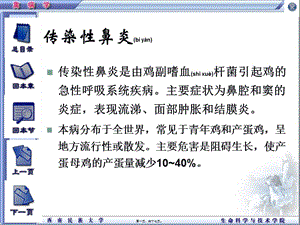 2022年醫(yī)學(xué)專題—第五章-第四節(jié)-傳染性鼻炎-wenkub.com