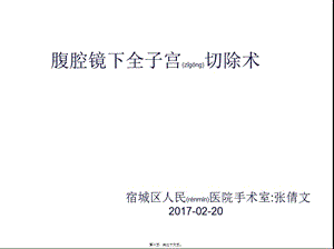 2022年醫(yī)學(xué)專(zhuān)題—腹腔鏡下全子宮切除術(shù)分析-免費(fèi)閱讀
