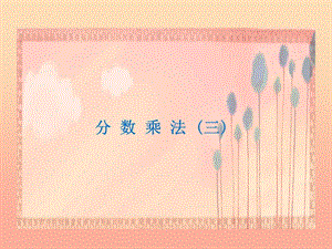 五年級(jí)數(shù)學(xué)下冊(cè)33分?jǐn)?shù)乘法三課件3北師大版(已改無(wú)錯(cuò)字)