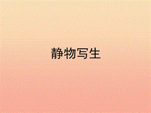 五年級美術(shù)下冊第11課植物寫生課件1浙美版(已改無錯字)