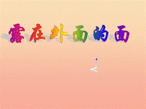 五年級(jí)數(shù)學(xué)下冊(cè)-24《露在外面的面》課件1-北師大版-免費(fèi)閱讀