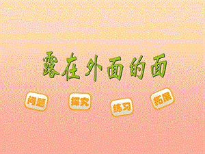 五年級(jí)數(shù)學(xué)下冊-24《露在外面的面》課件4-北師大版-展示頁