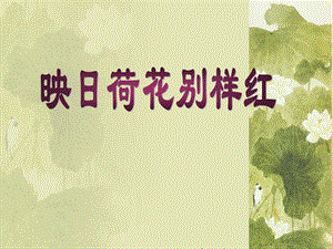 五年級美術(shù)下冊-第18課《映日荷花別樣紅》課件1-浙美版(已修改)