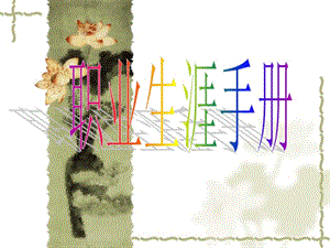 職業(yè)生涯規(guī)劃手冊(cè)(完整版)