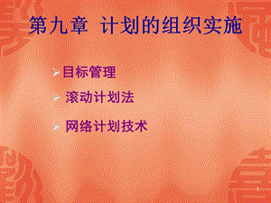 計(jì)劃的組織實(shí)施教材(文件)
