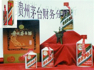 貴州茅臺企業(yè)的財(cái)務(wù)分析-資料下載頁