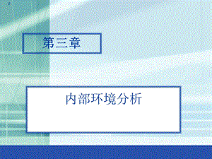 第三章-內(nèi)部環(huán)境分析(存儲(chǔ)版)