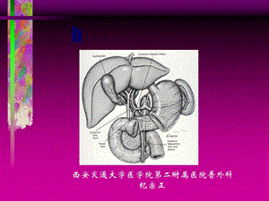 膽管損傷的診斷和治療(紀(jì)宗正)-文庫(kù)吧在線文庫(kù)