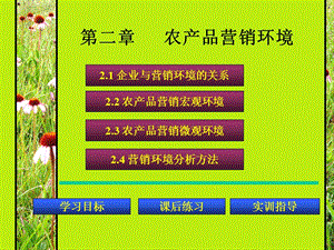 第二章農(nóng)產(chǎn)品營銷環(huán)境(專業(yè)版)