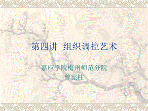 第四講組織調(diào)控藝術(shù)(已修改)